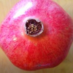 Pomegranate top