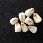 Dry posole kernels