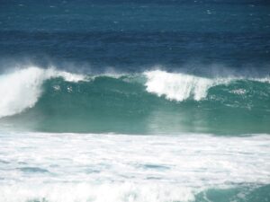 Crashing ocean wave
