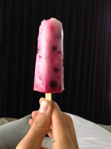 Fruition Wild Blueberry Lemon Paleta