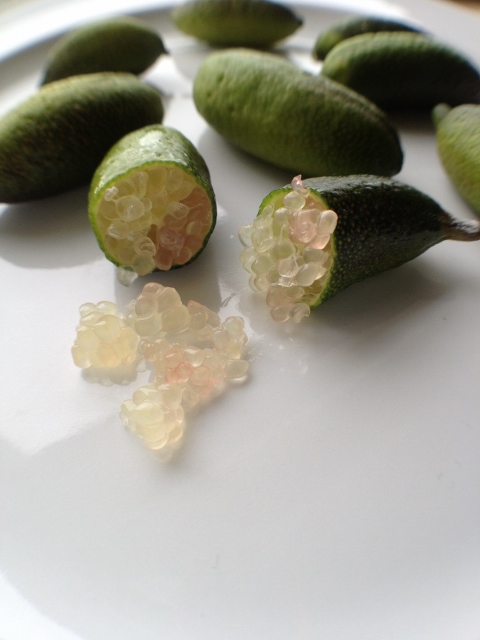 Several small limes on a plate, one cut in half with pearls spilling out