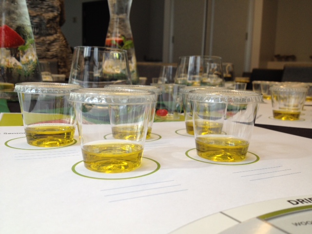 Small plastic cups full of olive oil for tasting