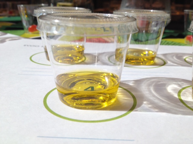 Small plastic cup with olive oil for tasting