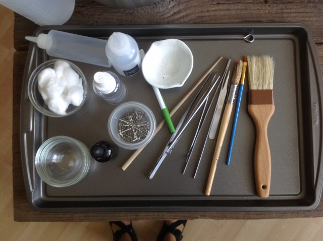 Tray of kitchen tools