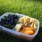 Kale and Blueberry Salad Bento