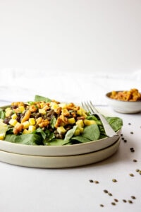 Side view of a plate of spinach salad with lentils and cheese