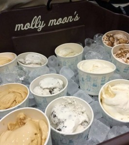 Molly Moon's Vegan Ice Cream