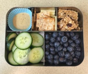 Squares and Circles Bento