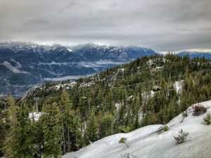 Two gondolas riding above snow covered trees