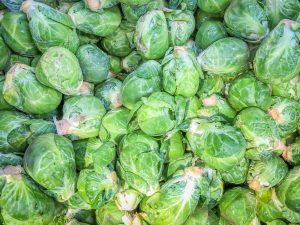 Close up photo of Brussels sprouts