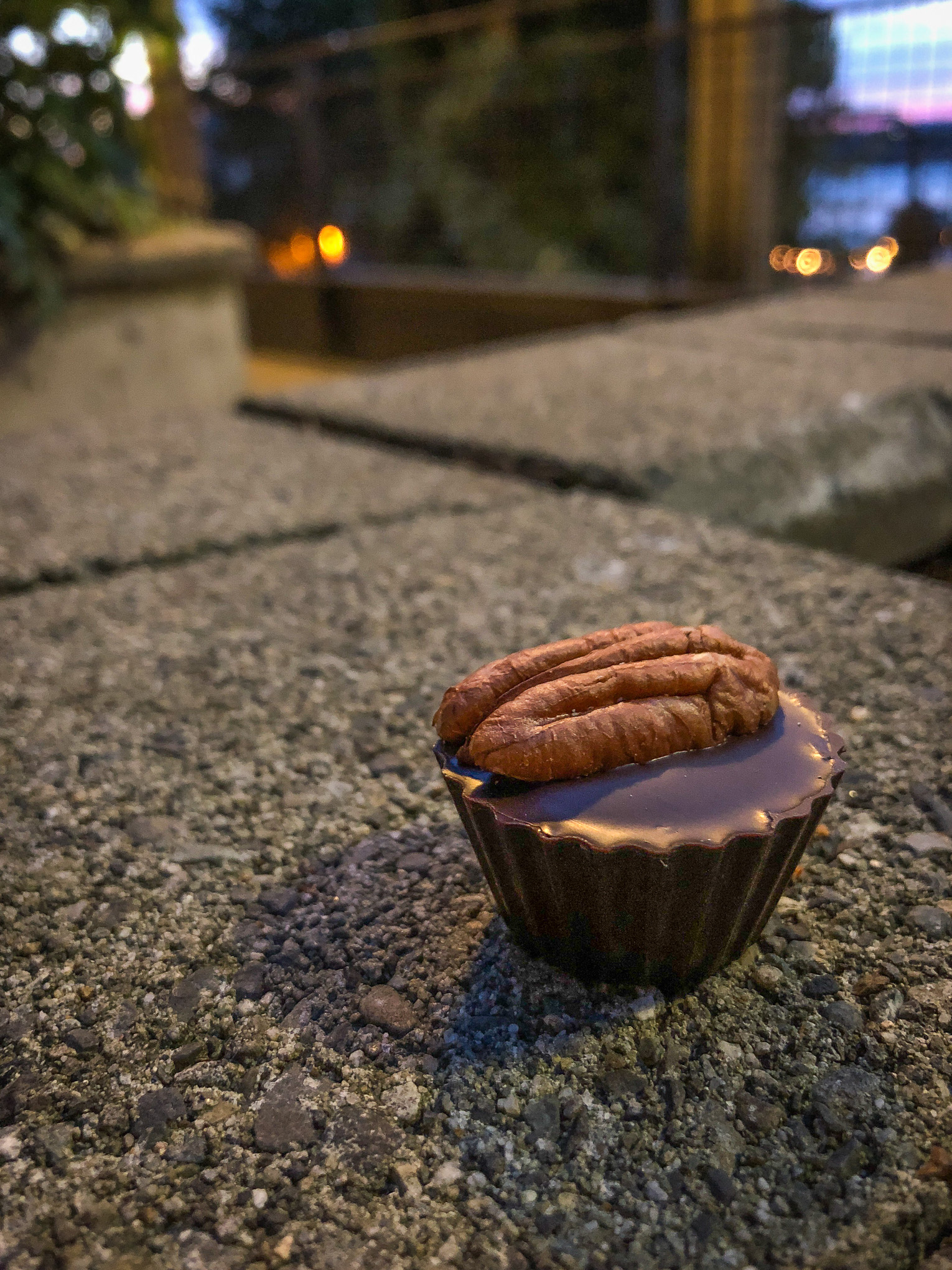 Piece of chocolate with a pecan on top