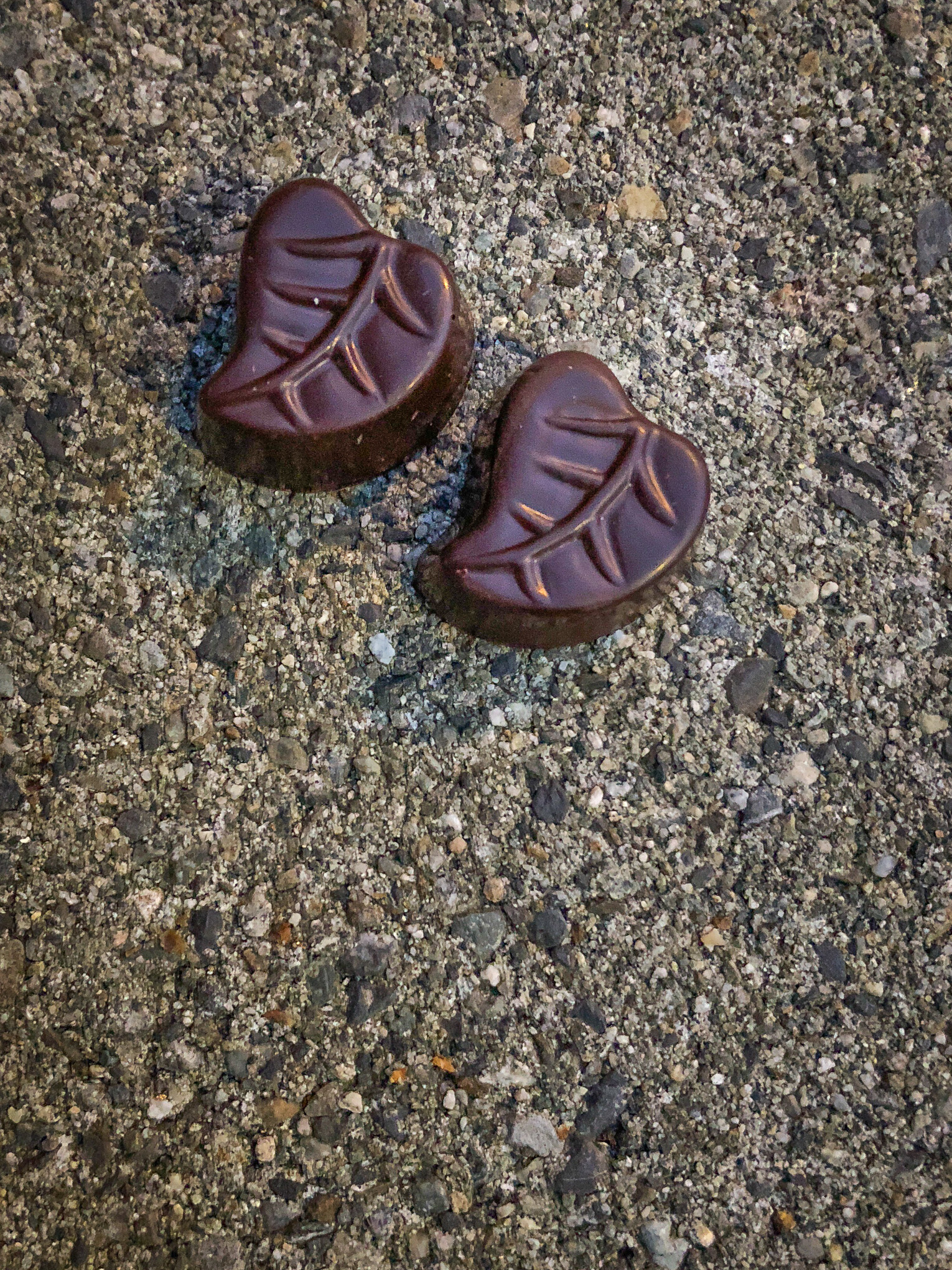 Two pieces of chocolate shaped like leaves