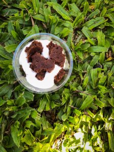 Small plastic cup filled with cream and chocolate cookie pieces sitting on green grass