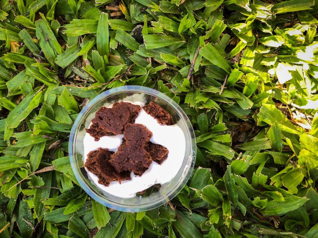 Top down view of a bowl of chocolate cookies and cream setting on green leaves