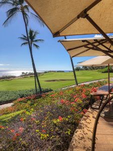 Flower bed, golf course, and ocean view