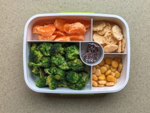 Bento box filled with oranges, broccoli and beans