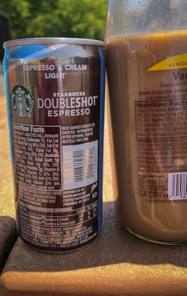 Iced Coffee Tasting6 Veg Girl RD