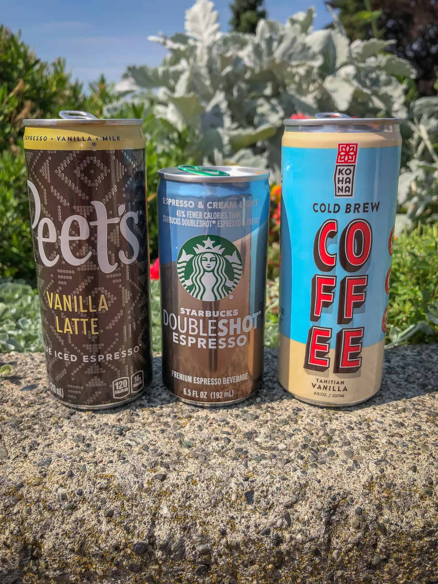 3 cans of iced coffee