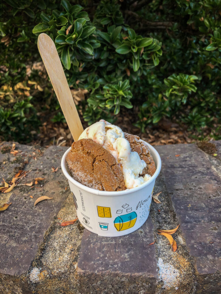 Ice cream sandwich in a paper bowl