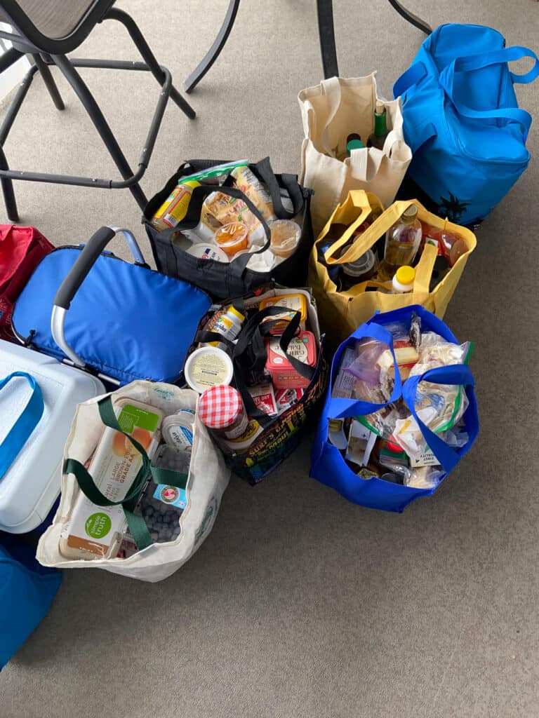 insulated bags of groceries