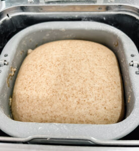 Naan dough in a bread machine