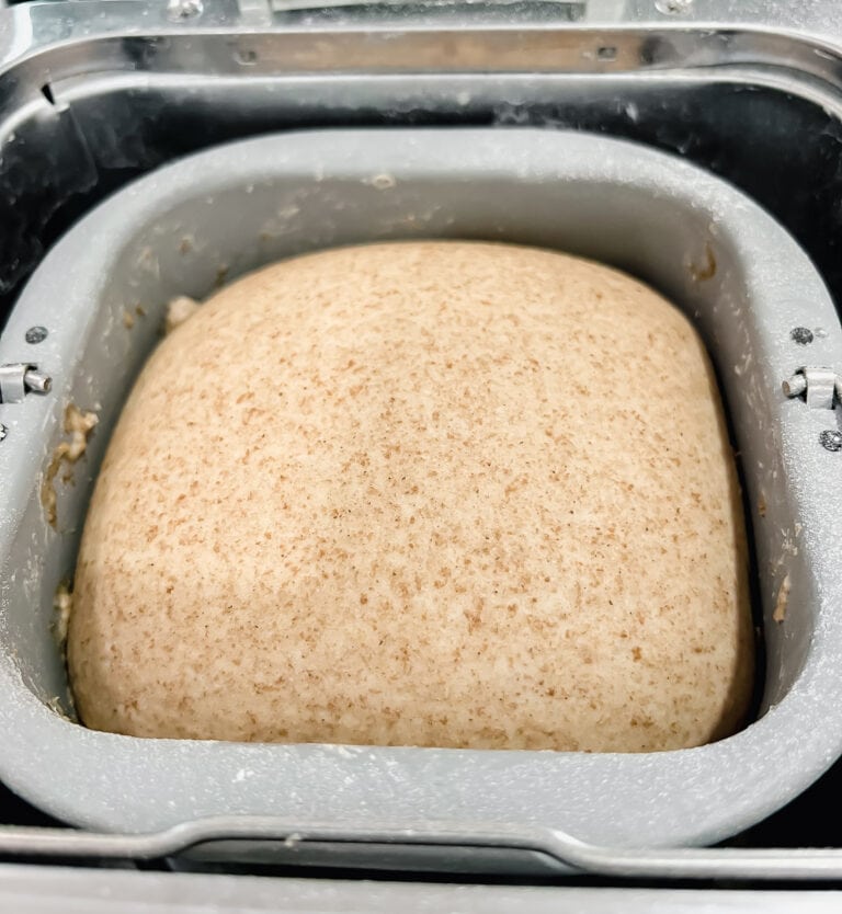 Easy Vegan Whole Wheat Naan Using a Bread Machine Veg Girl RD