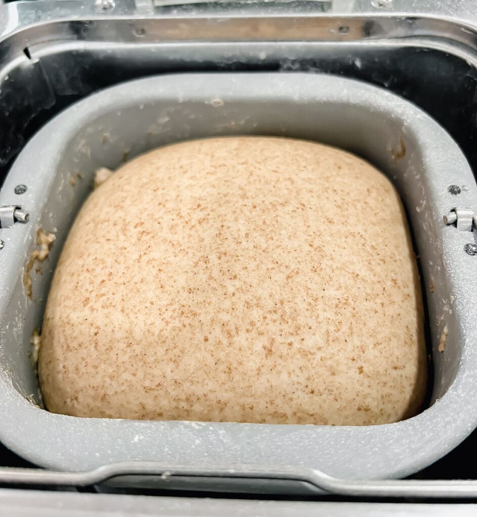 Naan dough in a bread machine
